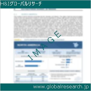 グローバルリサーチ調査レポートのイメージ